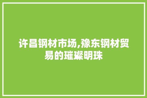 许昌钢材市场,豫东钢材贸易的璀璨明珠