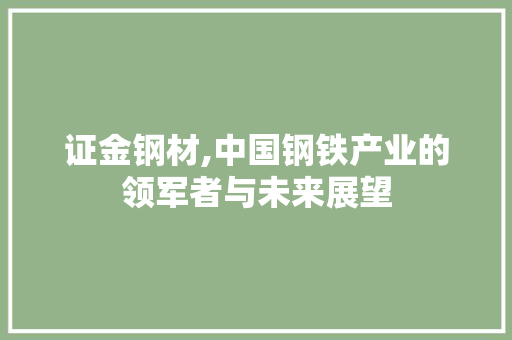 证金钢材,中国钢铁产业的领军者与未来展望
