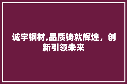 诚宇钢材,品质铸就辉煌，创新引领未来