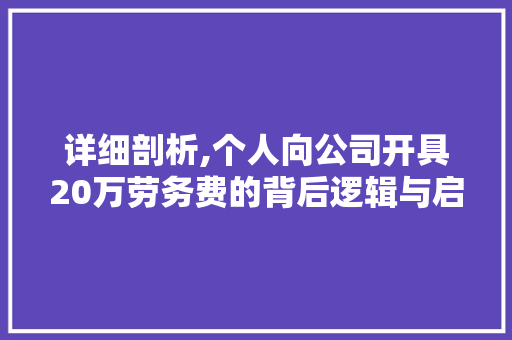 详细剖析,个人向公司开具20万劳务费的背后逻辑与启示
