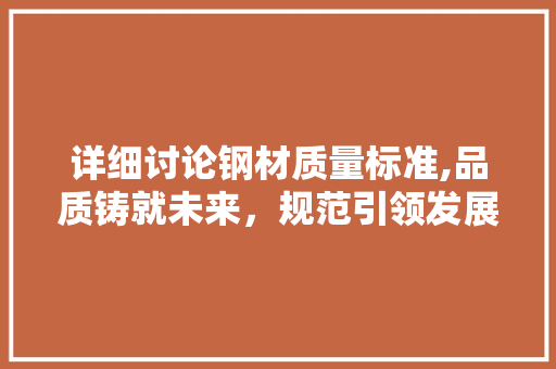 详细讨论钢材质量标准,品质铸就未来，规范引领发展
