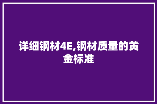 详细钢材4E,钢材质量的黄金标准