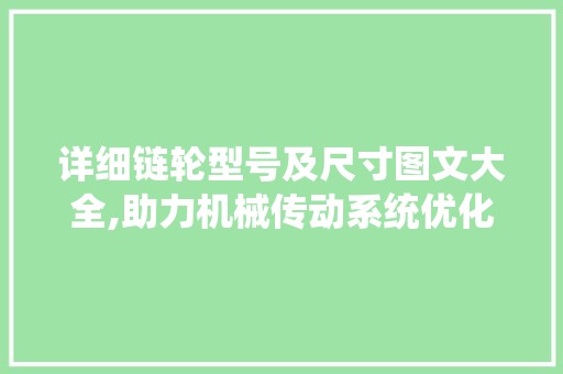 详细链轮型号及尺寸图文大全,助力机械传动系统优化升级
