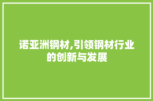 诺亚洲钢材,引领钢材行业的创新与发展