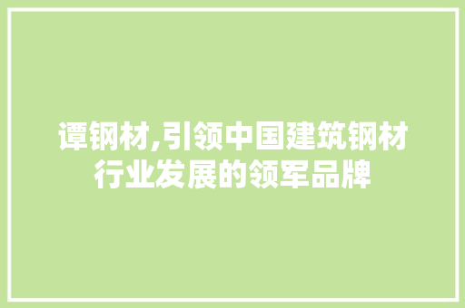 谭钢材,引领中国建筑钢材行业发展的领军品牌
