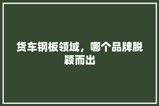 货车钢板领域，哪个品牌脱颖而出
