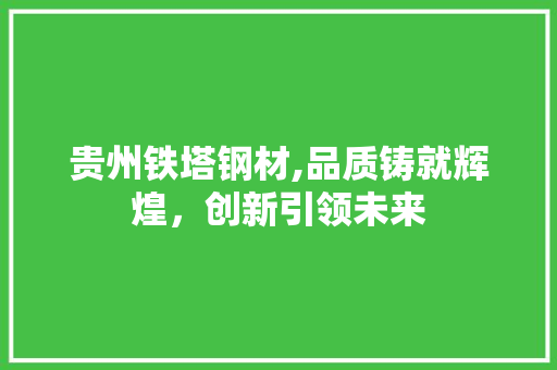 贵州铁塔钢材,品质铸就辉煌,创新引领未来