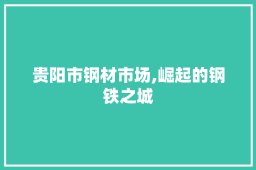 贵阳市钢材市场,崛起的钢铁之城