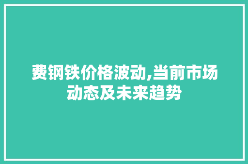 费钢铁价格波动,当前市场动态及未来趋势
