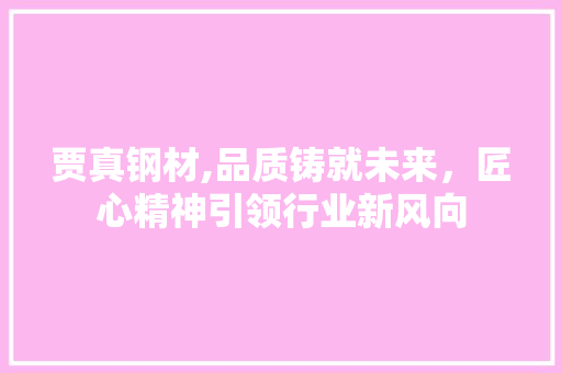 贾真钢材,品质铸就未来，匠心精神引领行业新风向
