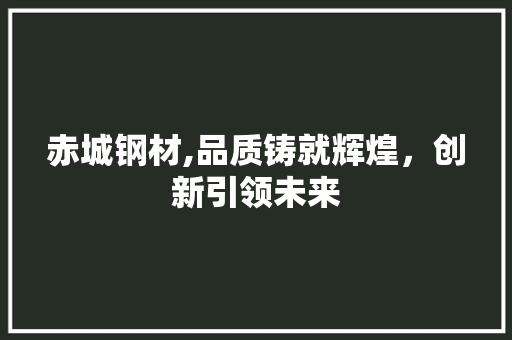 赤城钢材,品质铸就辉煌，创新引领未来