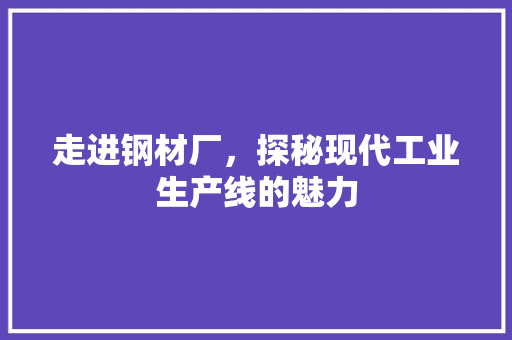 走进钢材厂，探秘现代工业生产线的魅力