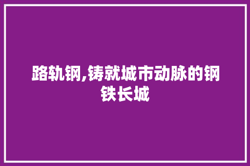 路轨钢,铸就城市动脉的钢铁长城