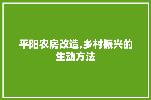 平阳农房改造,乡村振兴的生动方法