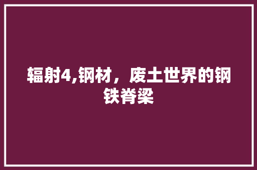 辐射4,钢材，废土世界的钢铁脊梁