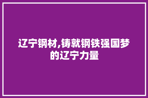 辽宁钢材,铸就钢铁强国梦的辽宁力量
