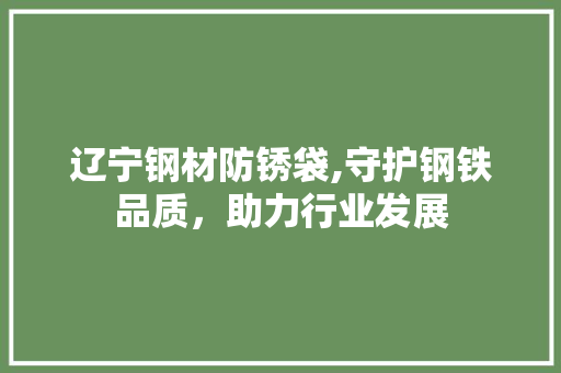 辽宁钢材防锈袋,守护钢铁品质，助力行业发展
