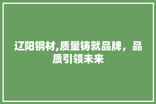 辽阳钢材,质量铸就品牌，品质引领未来