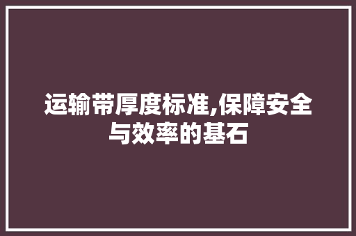 运输带厚度标准,保障安全与效率的基石