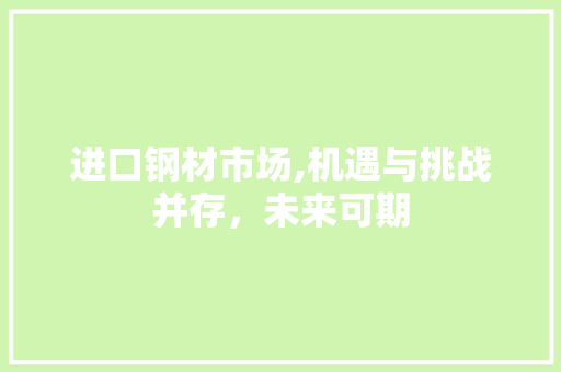 进口钢材市场,机遇与挑战并存，未来可期
