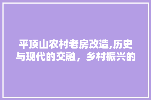 平顶山农村老房改造,历史与现代的交融，乡村振兴的助推器