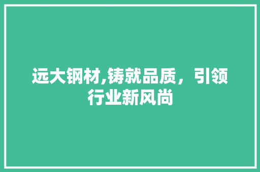 远大钢材,铸就品质，引领行业新风尚