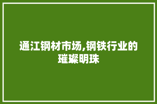 通江钢材市场,钢铁行业的璀璨明珠