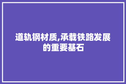 道轨钢材质,承载铁路发展的重要基石