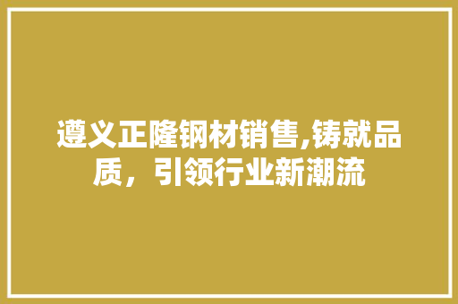 遵义正隆钢材销售,铸就品质，引领行业新潮流