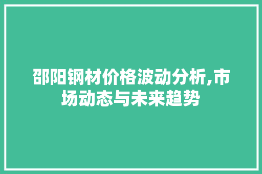 邵阳钢材价格波动分析,市场动态与未来趋势