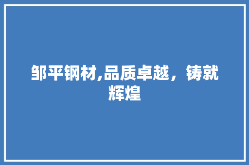 邹平钢材,品质卓越，铸就辉煌