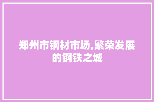 郑州市钢材市场,繁荣发展的钢铁之城