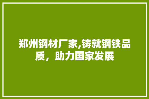 郑州钢材厂家,铸就钢铁品质，助力国家发展