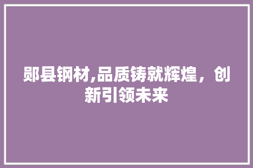 郧县钢材,品质铸就辉煌，创新引领未来