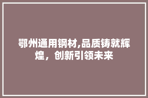 鄂州通用钢材,品质铸就辉煌，创新引领未来
