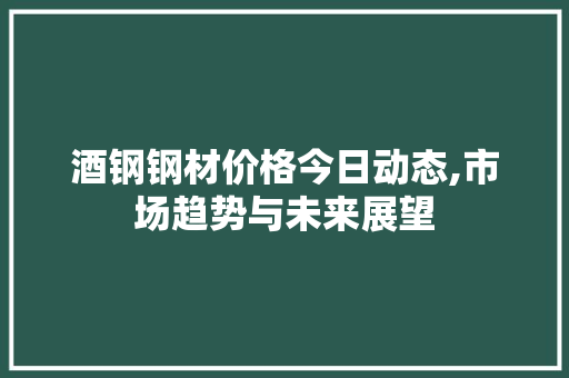 酒钢钢材价格今日动态,市场趋势与未来展望