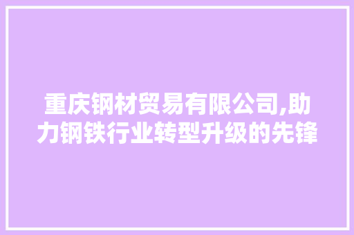 重庆钢材贸易有限公司,助力钢铁行业转型升级的先锋力量
