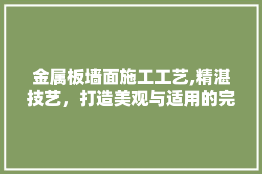 金属板墙面施工工艺,精湛技艺，打造美观与适用的完美结合