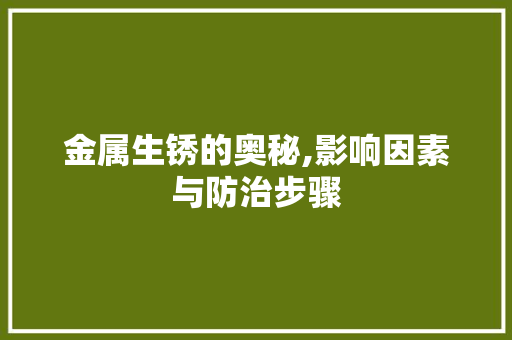 金属生锈的奥秘,影响因素与防治步骤