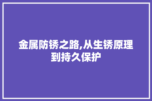 金属防锈之路,从生锈原理到持久保护