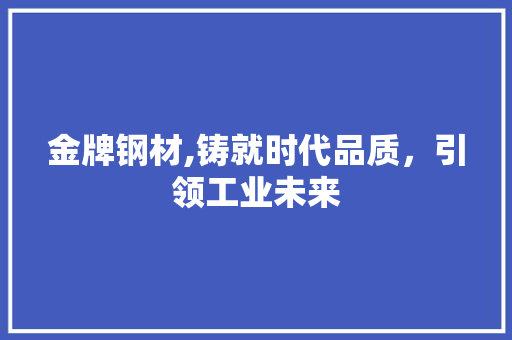 金牌钢材,铸就时代品质，引领工业未来