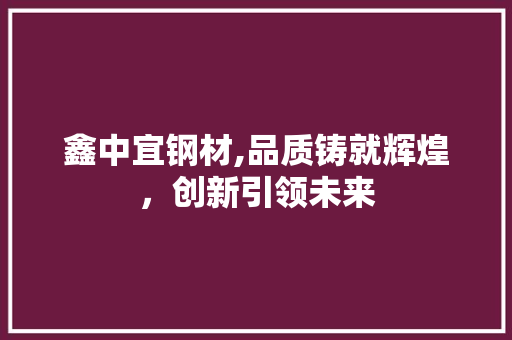 鑫中宜钢材,品质铸就辉煌，创新引领未来
