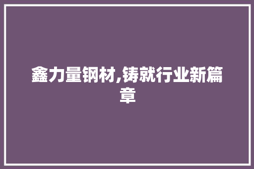 鑫力量钢材,铸就行业新篇章