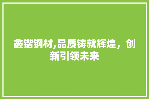 鑫锴钢材,品质铸就辉煌，创新引领未来