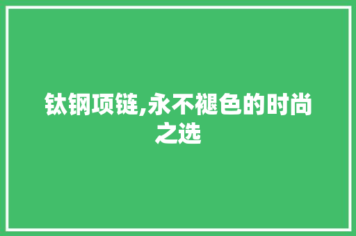 钛钢项链,永不褪色的时尚之选 隔断设计