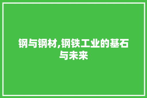 钢与钢材,钢铁工业的基石与未来