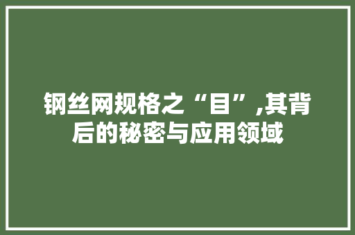 钢丝网规格之“目”,其背后的秘密与应用领域