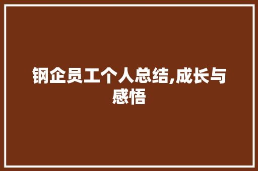 钢企员工个人总结,成长与感悟