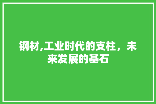 钢材,工业时代的支柱，未来发展的基石