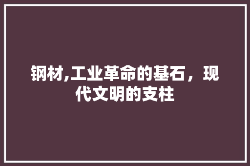 钢材,工业革命的基石，现代文明的支柱